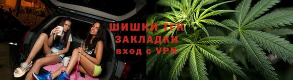 СК Богородск